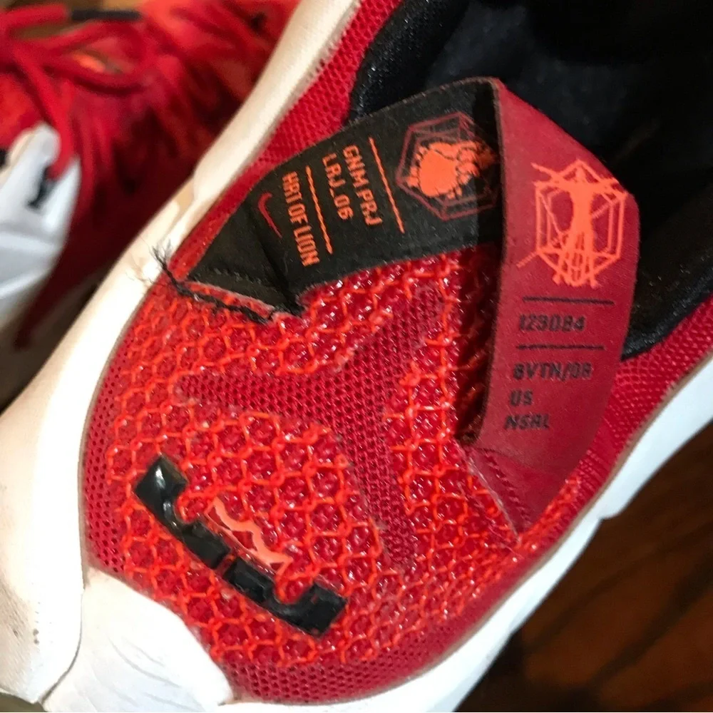 👟Nike Lebron XII Heart of a Lion Sneakers